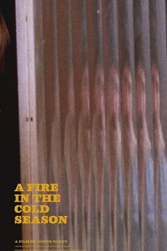 Пожар в холодное время года (2020)