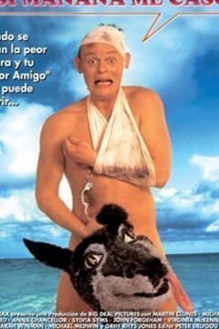 Особенности холостяцкой вечеринки (1994)