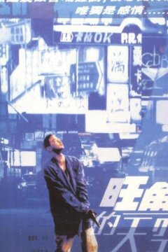 Разыскивается полицией (1995)