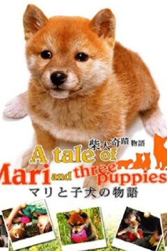 История Мари и трех щенков (2007)