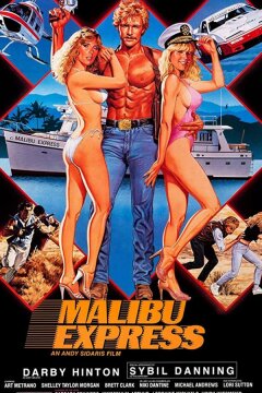 Малибу-экспресс (1985)