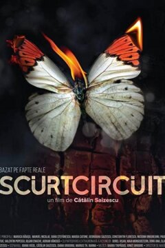 Короткое замыкание (2017)