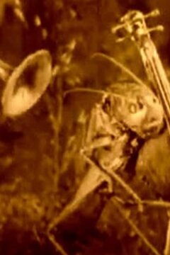 Веселые сценки из жизни животных (1912)