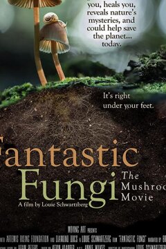 Фантастические грибы (2019)