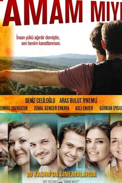 Неужели мы поняли друг друга? (2013)