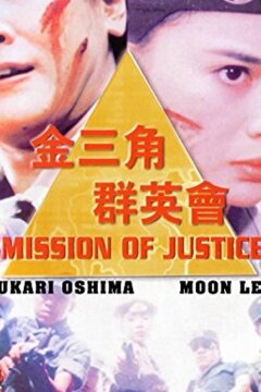 Миссия справедливости (1992)