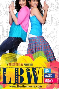 Жизнь до свадьбы (2010)