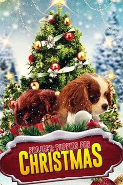 Project: Puppies for Christmas (2019)