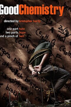 Хорошая химия (2008)