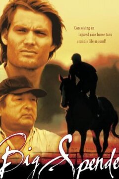 Возвращение чемпиона (ТВ) (2003)