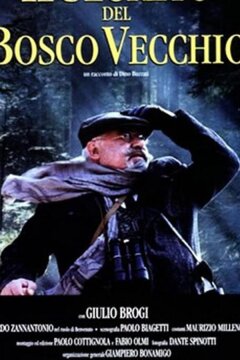 Тайна старого леса (1993)