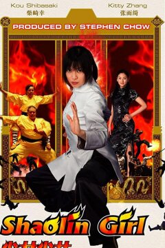 Девушка из Шаолиня (2008)