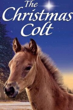 Рождественский жеребёнок (2013)