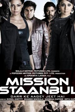 Миссия «Стамбул» (2008)