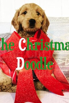 Голдендудль на Рождество (2020)