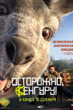 Осторожно, Кенгуру! (2020)