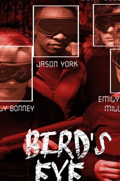 Птичий глаз (2019)