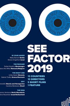 Взгляд изнутри: Сараево, любовь моя (2019)