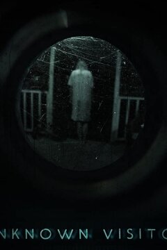 Незнакомый гость (2019)