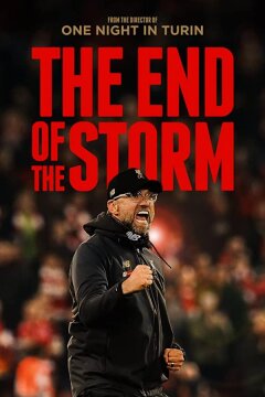 Конец Шторма (2020)