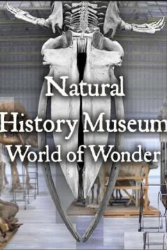 Natural History Museum: World of Wonder (2021)