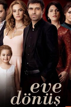 Возвращение домой (2015)