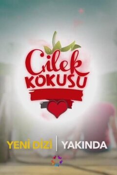 Запах клубники (2015)