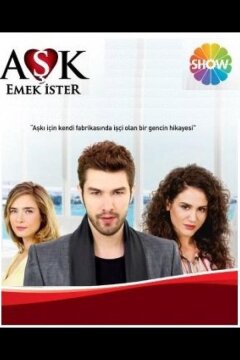 Любовь требует усилий (2013)