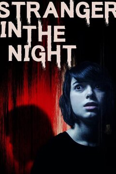 Незнакомец в ночи (2017)