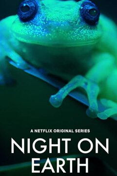 Ночь на Земле (2020)