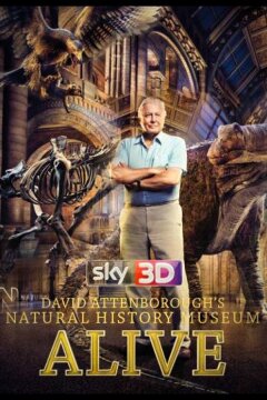Музей естественной истории с Дэвидом Аттенборо (2014)