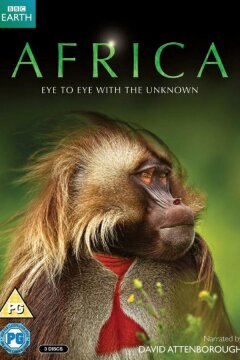 Африка (2013)