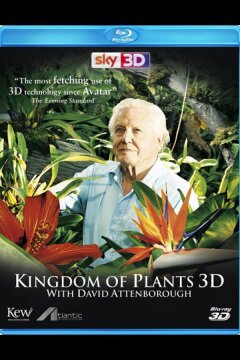 В королевстве растений (2012)