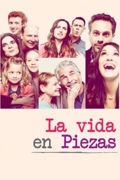 Жизнь в деталях (2015)