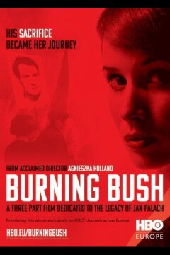 Неопалимая купина (2013)