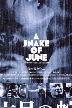 Июньский змей (2002)