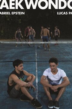 Тхэквондо (2016)