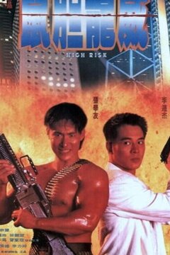 Степень риска (1995)