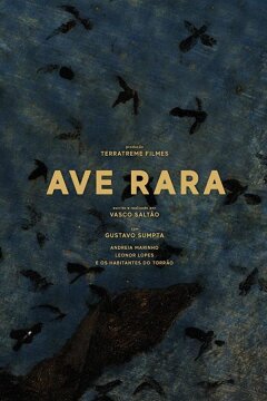 Редкая птица (2019)