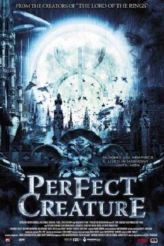 Идеальное создание (2006)