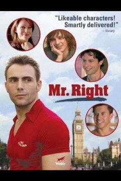 Мистер идеал (2009)