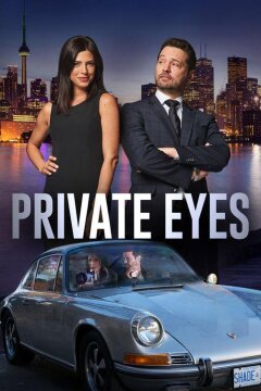 Частные сыщики (2016)