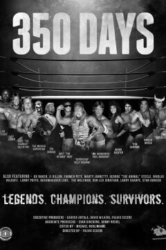 350 дней (2018)