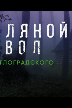 Земляной дьявол. Дело светлоградского маньяка (2020)