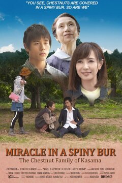 Чудо в Колючем Бору: Каштановая Семья из Касамы (2018)