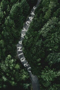 Обычные дни (2017)