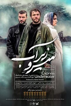 Кипарис под водой (2018)