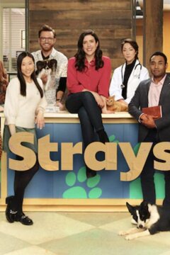 Бездомные животные (2021)