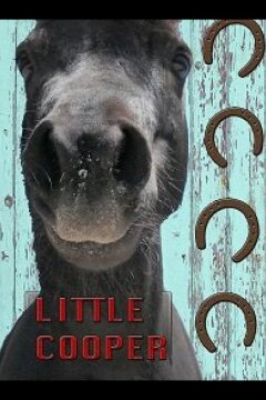 Маленький Купер (2020)