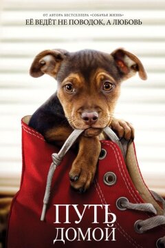 Путь домой (2019)